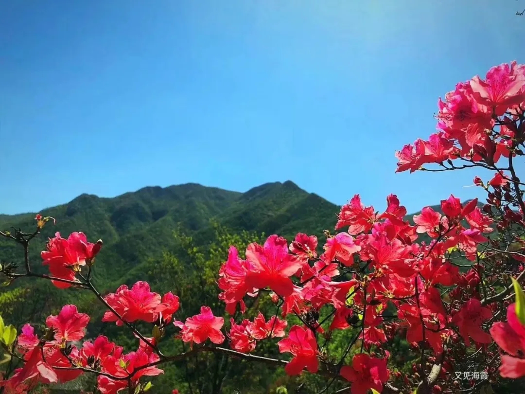 晨讀(dú) | 桃花潭遊